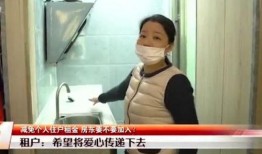 深圳女房东最新爆料,揭露租房市场的惊人内幕