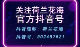 盐城抖音爆料事件最新情况,最新进展揭秘，真相逐步浮出水面